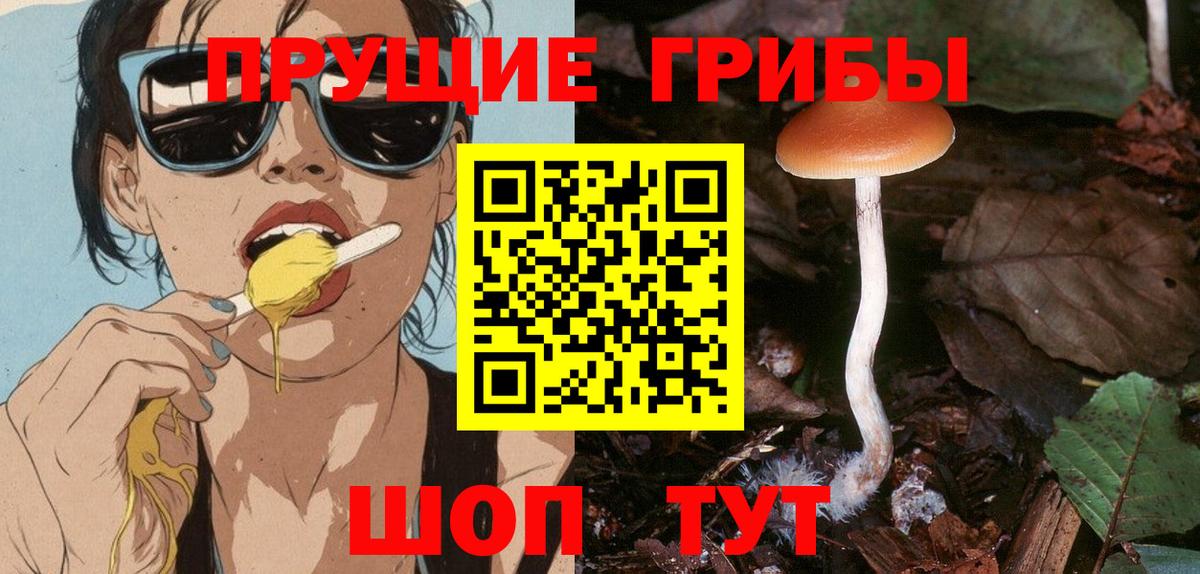 Псилоцибиновые грибы мухоморы Камышлов