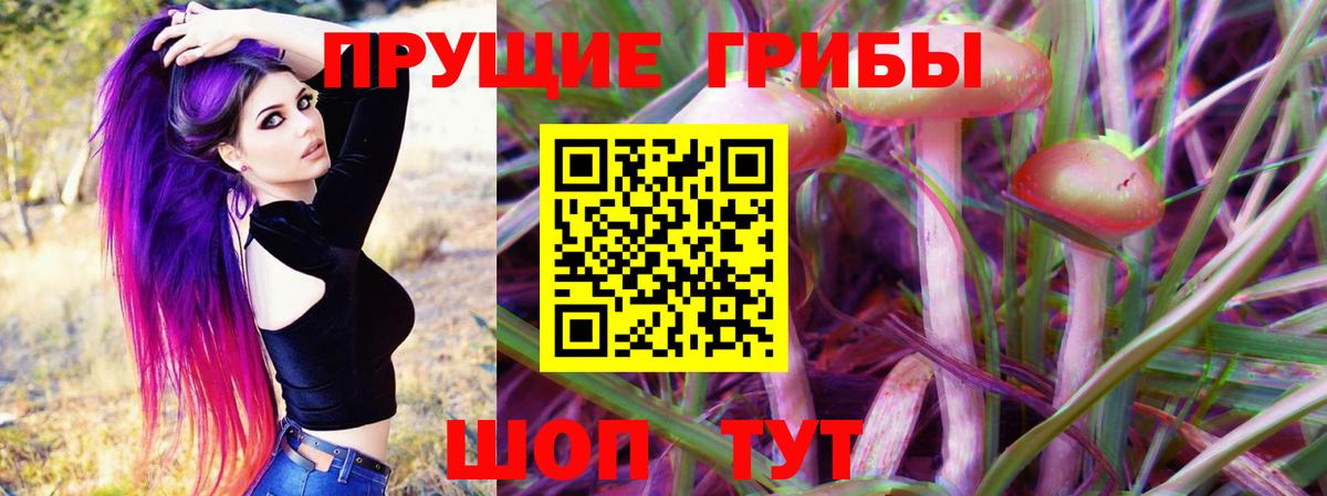 Галлюциногенные грибы ЛСД  Галлюциногенные грибы Psilocybe  Камышлов  Вход с VPN 